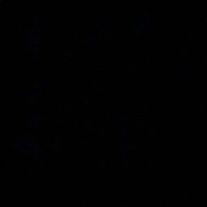 Meet your Posher, Carly